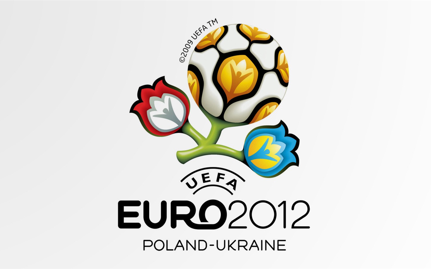 UEFA EURO 2012 HD Wallpaper (2) #1 - 1440x900