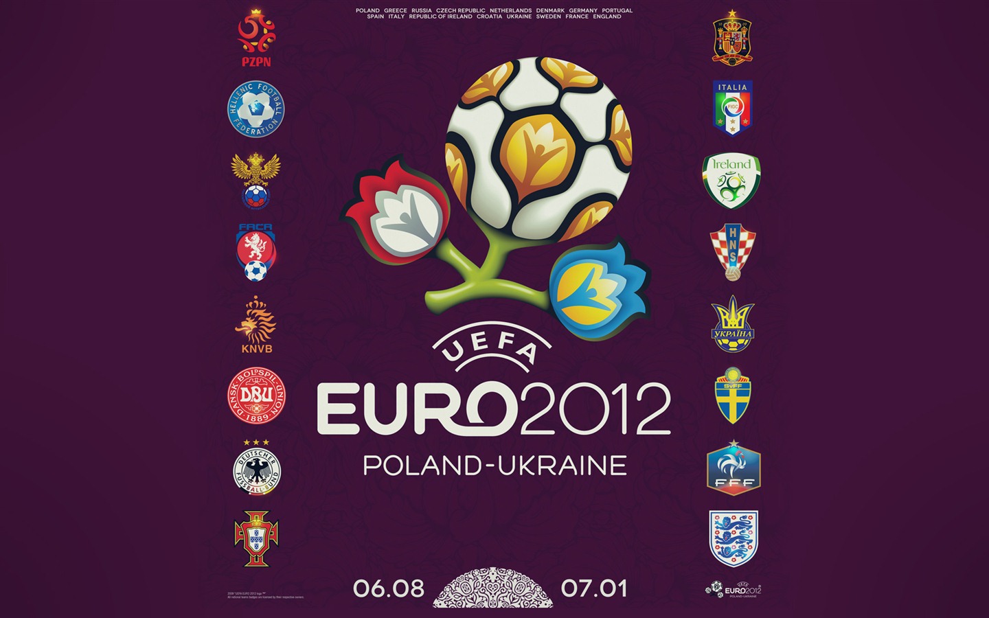UEFA EURO 2012 欧洲足球锦标赛 高清壁纸(二)12 - 1440x900