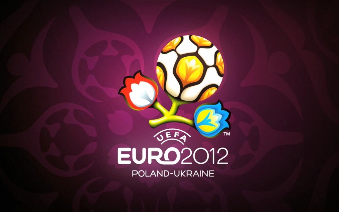 UEFA EURO 2012 欧洲足球锦标赛 高清壁纸(二)15 - 1440x900