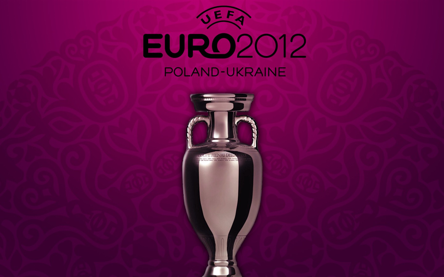 UEFA EURO 2012 欧洲足球锦标赛 高清壁纸(二)16 - 1440x900