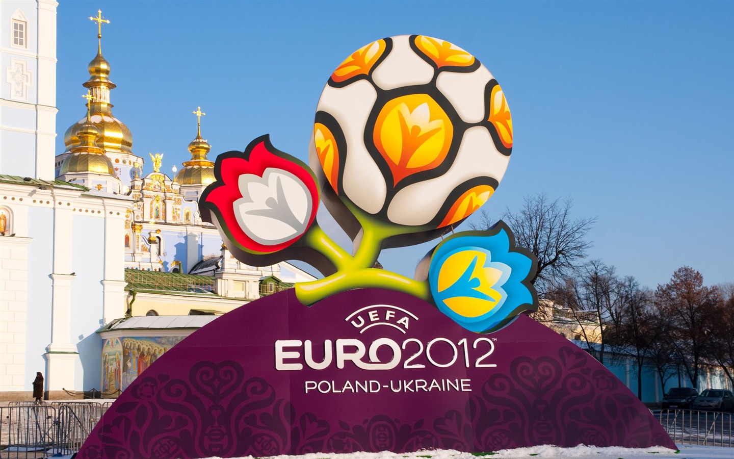 UEFA EURO 2012年歐錦賽高清壁紙(二) #17 - 1440x900