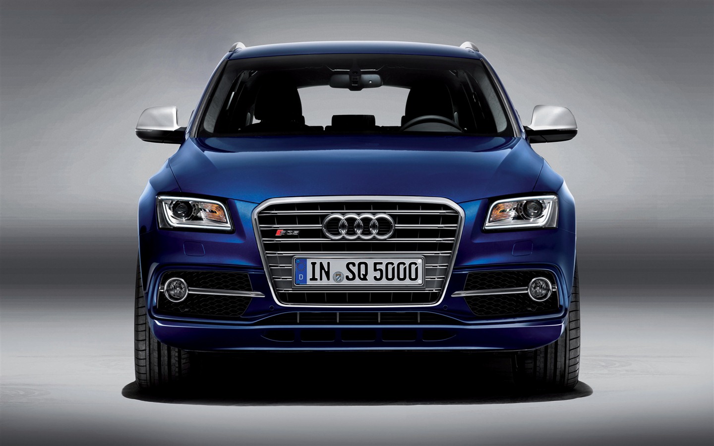 2013 Audi SQ5 TDI 奥迪 高清壁纸3 - 1440x900