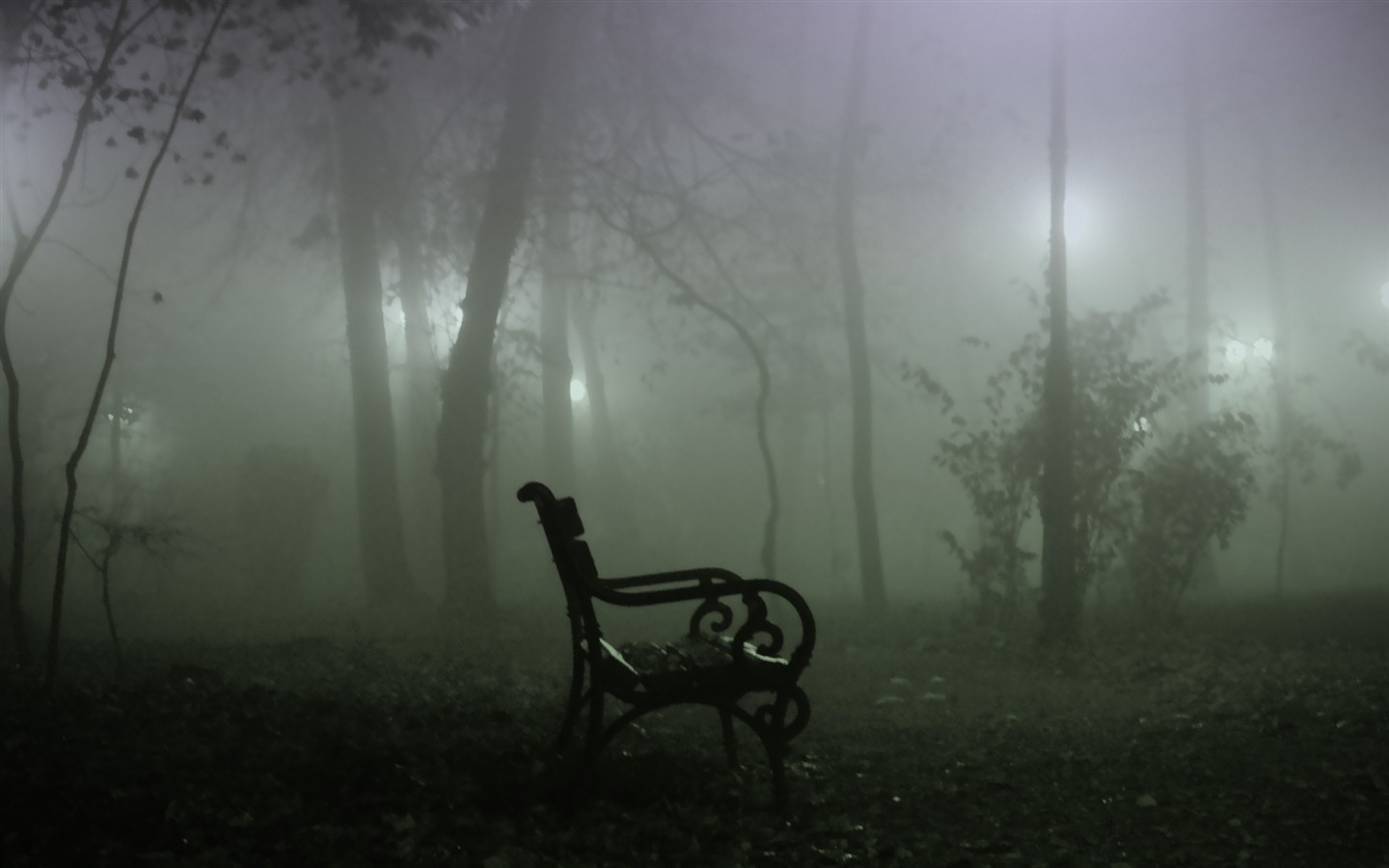 Windows 7 Wallpapers: Automne Eerie #8 - 1440x900