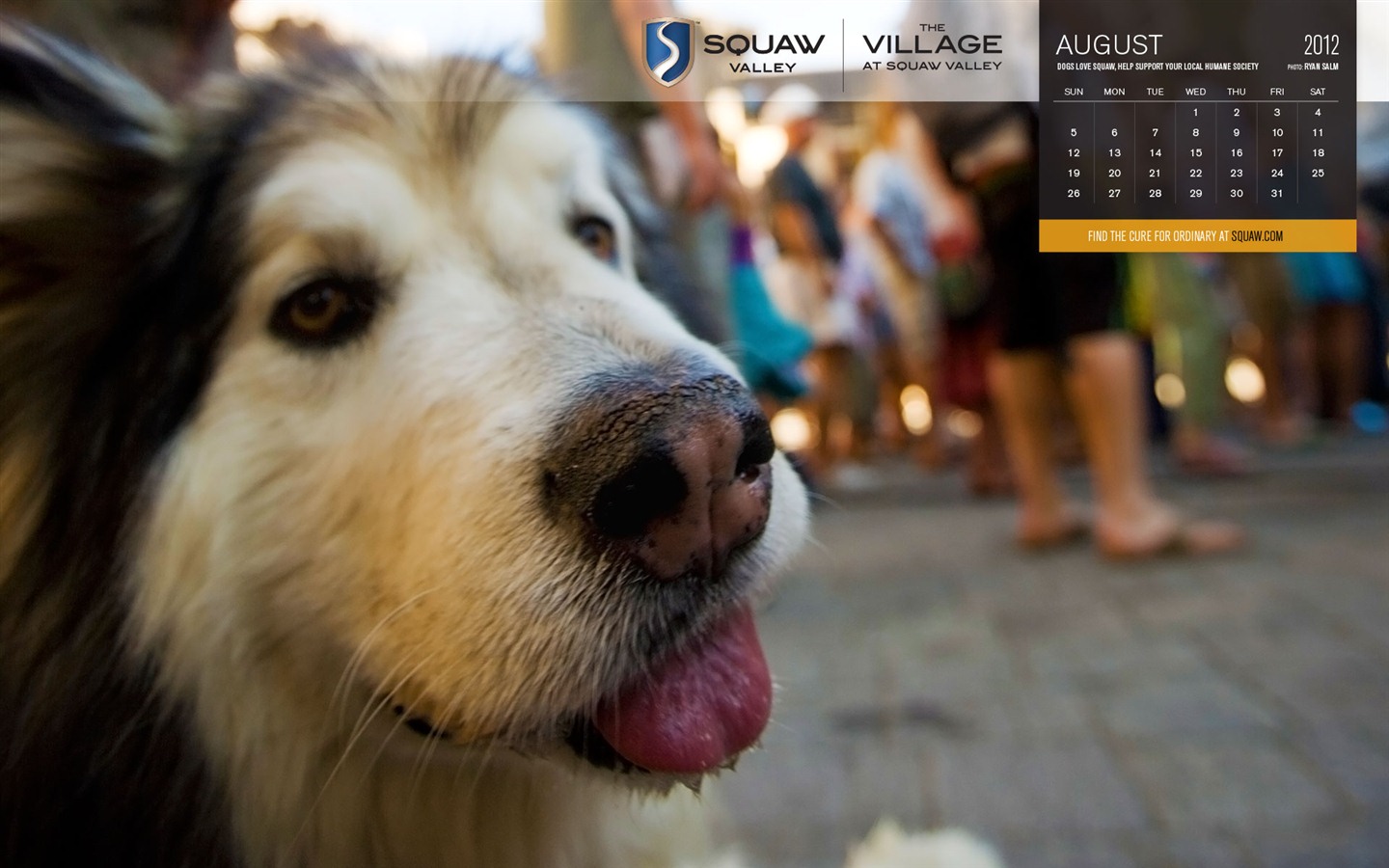 August 2012 Kalender Wallpapers (1) #3 - 1440x900