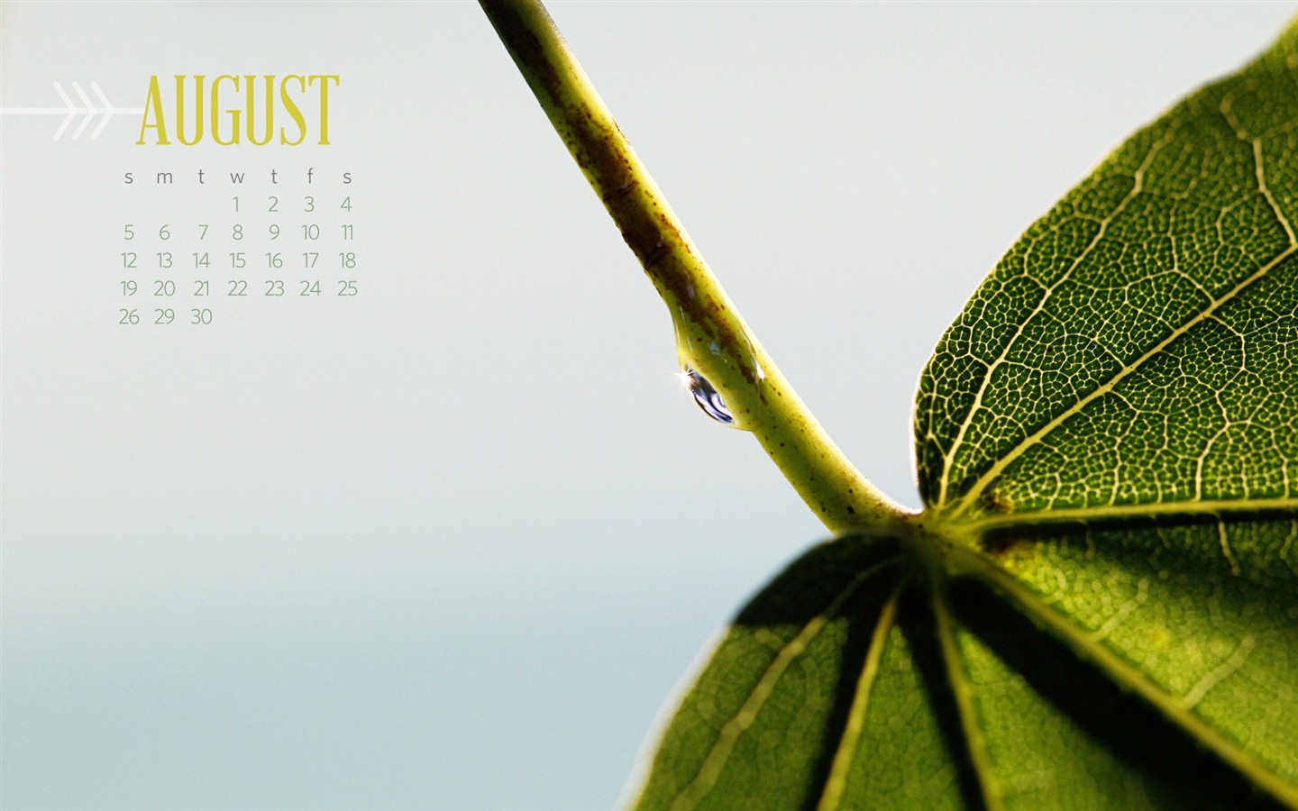 August 2012 Calendar wallpapers (2) #7 - 1440x900