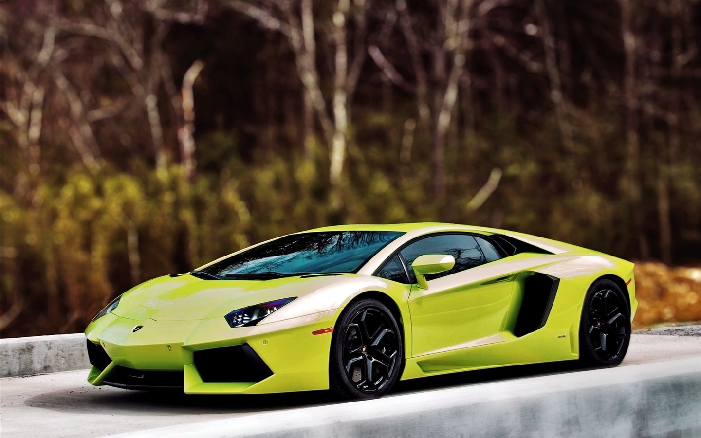 2012 Lamborghini Aventador LP700-4 蘭博基尼高清壁紙 #33 - 1440x900