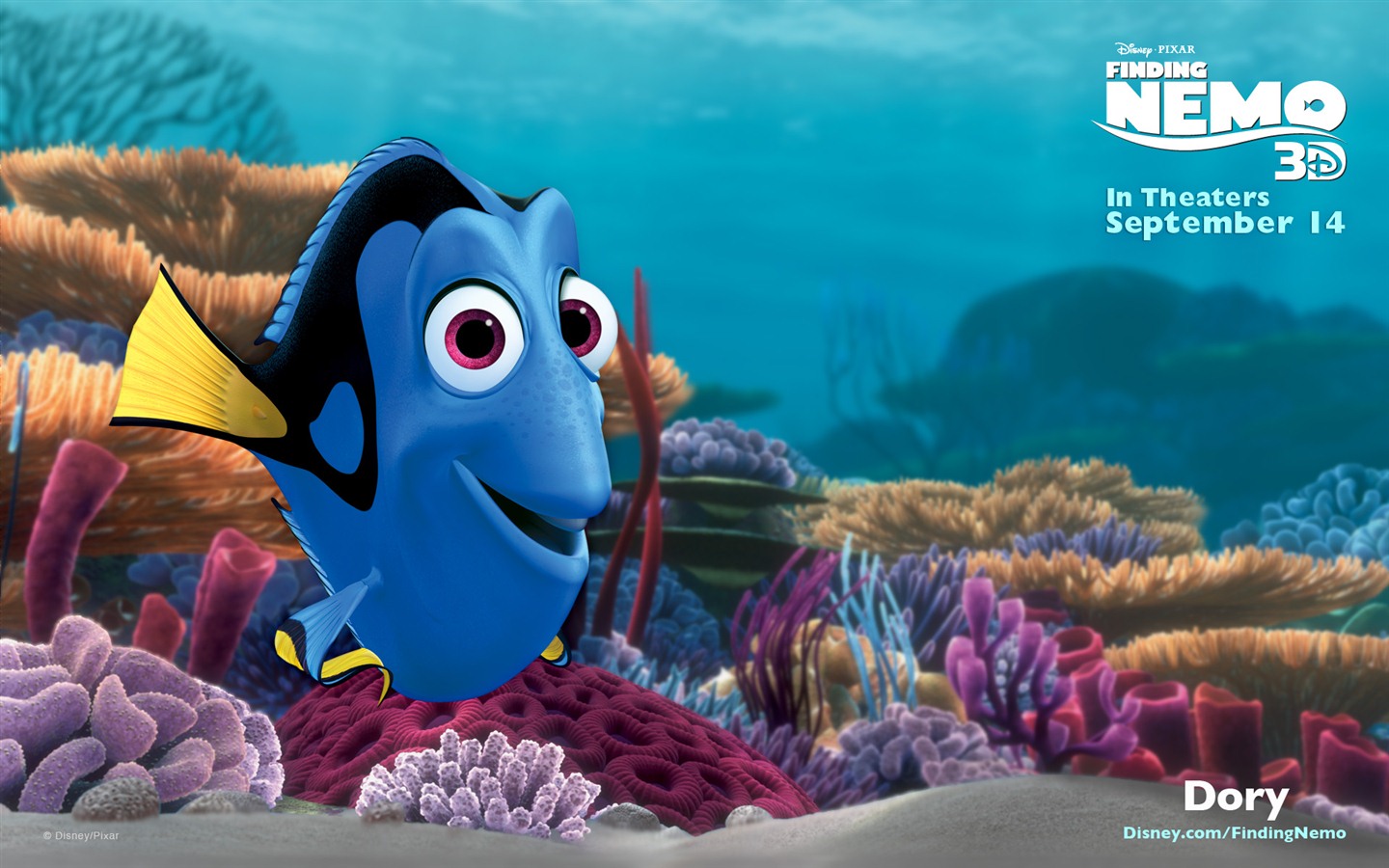 Le Monde de Nemo 3D 2012 fonds d'écran HD #7 - 1440x900