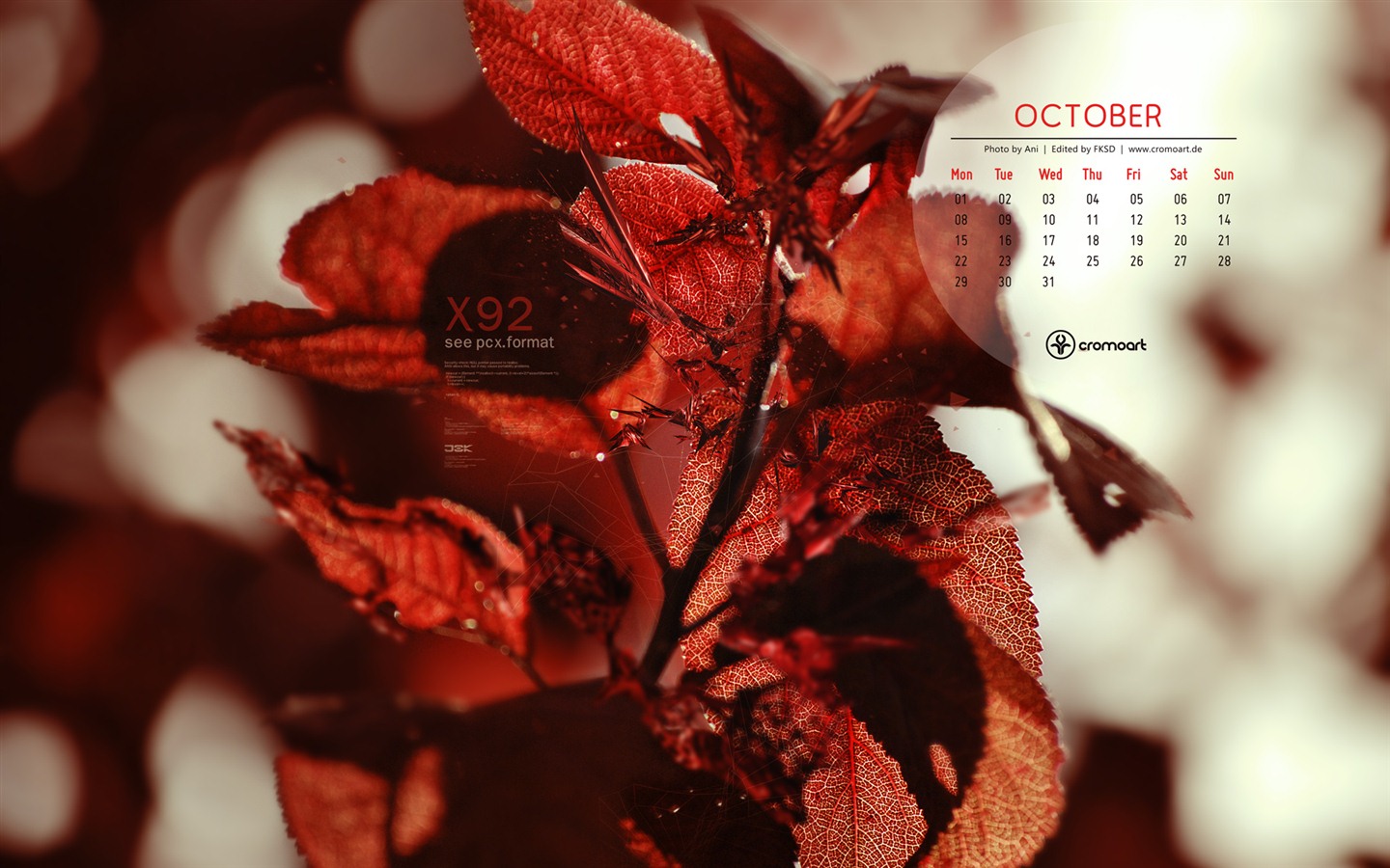 October 2012 Calendar wallpaper (2) #20 - 1440x900