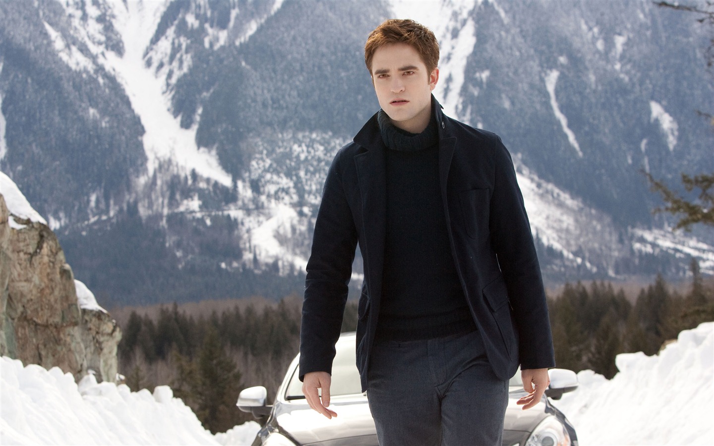 The Twilight Saga: Breaking Dawn HD wallpapers #5 - 1440x900