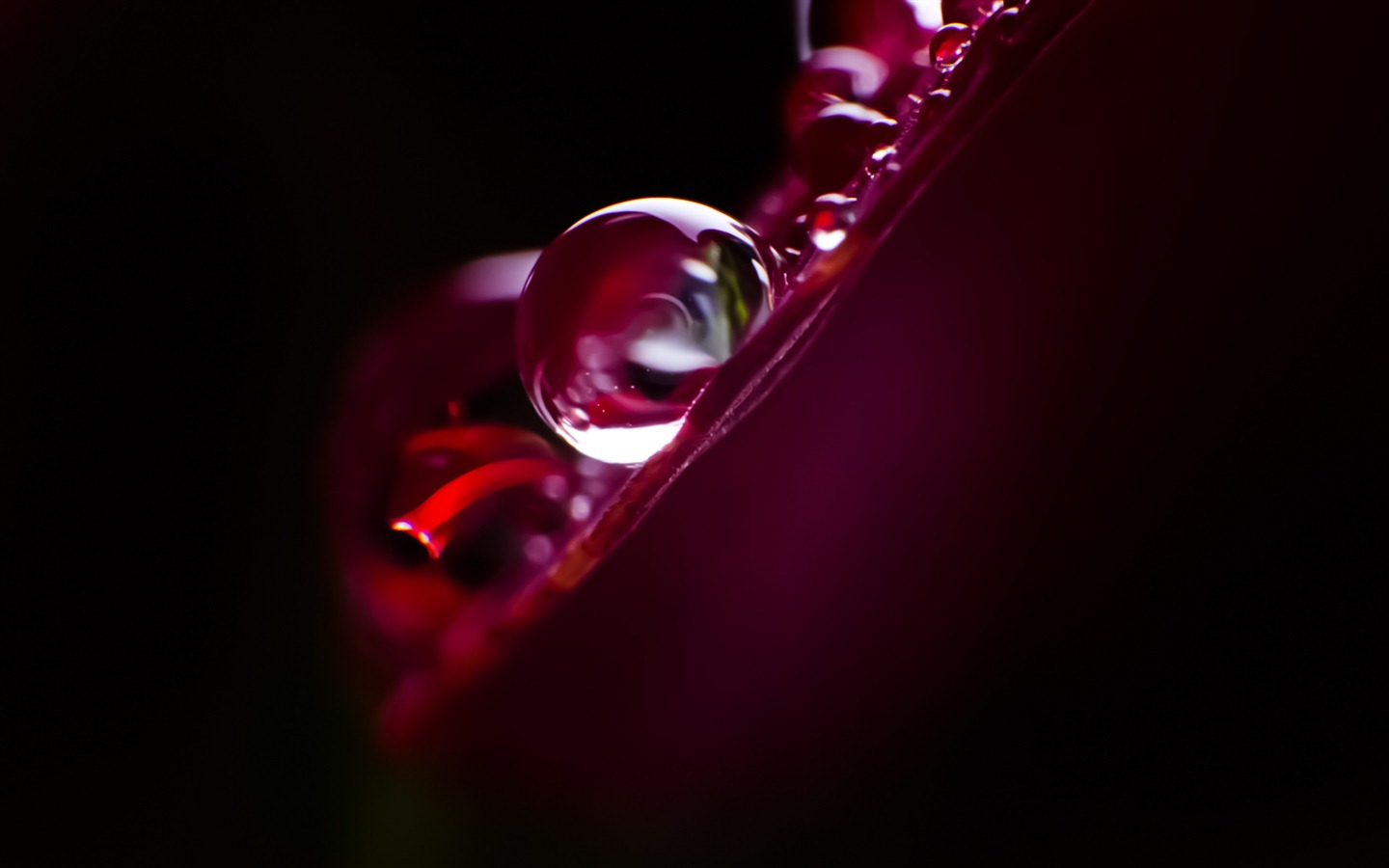 Windows 7 壁紙：水珠 #5 - 1440x900