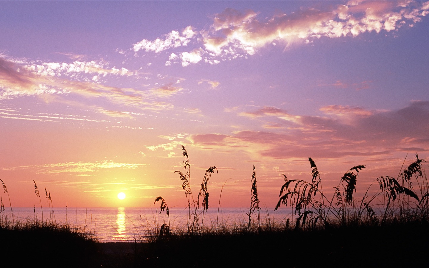Windows 8 官方全景主題壁紙，城市風光，大橋，地平線 #21 - 1440x900