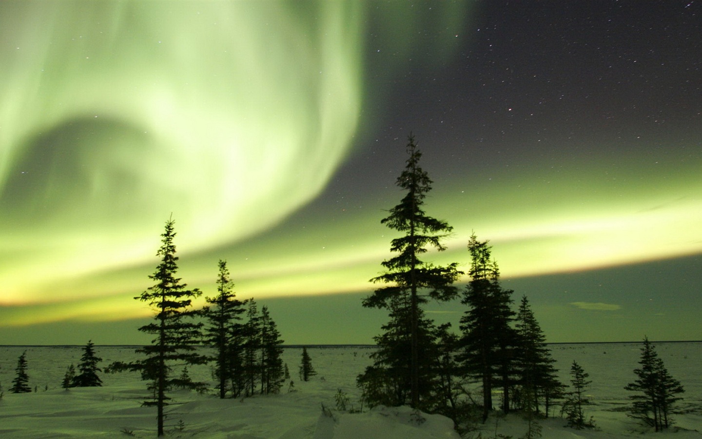 Natural wonders of the Northern Lights HD Wallpaper (2) #18 - 1440x900