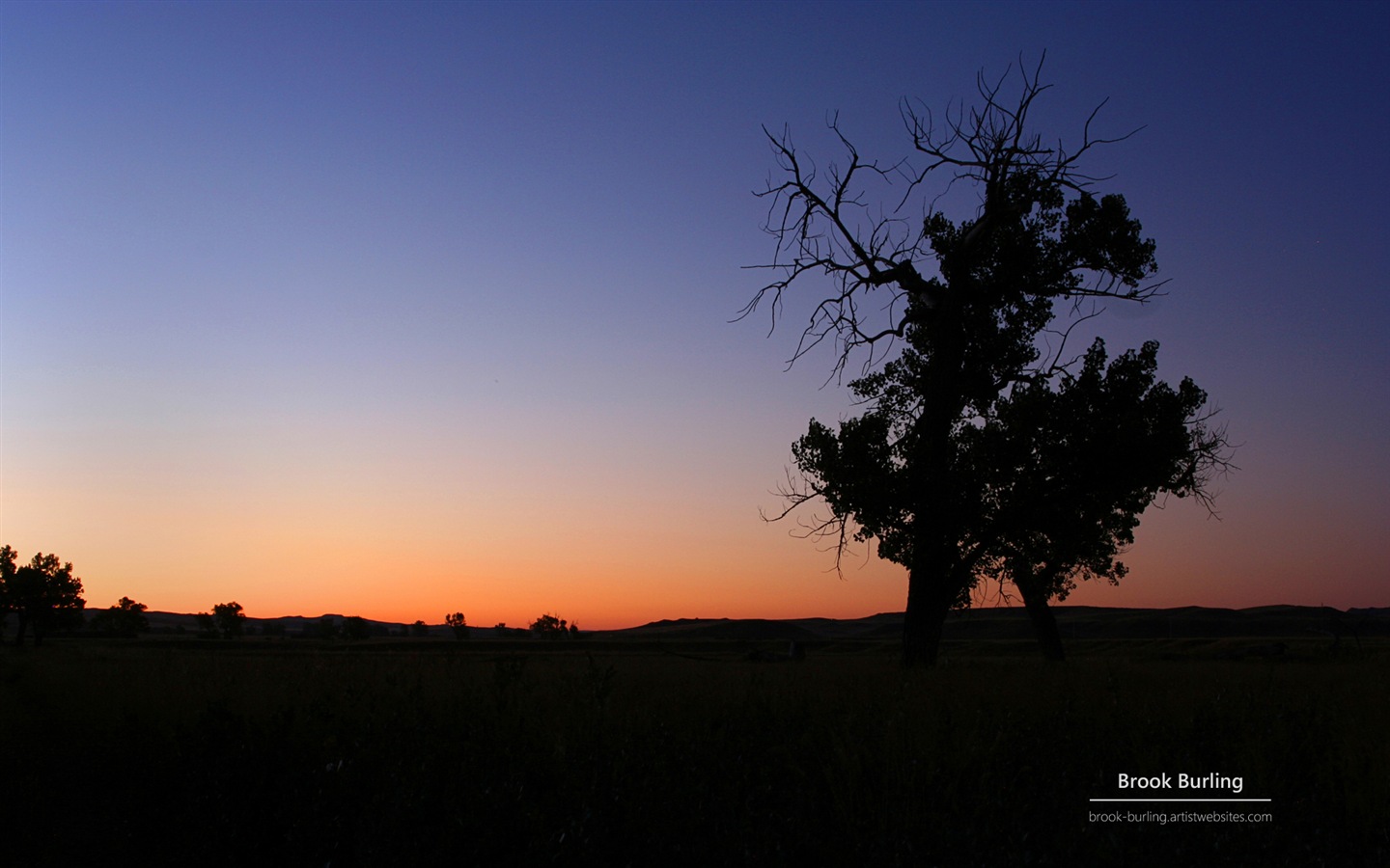 Windows 8 Fondos de pantalla: Painted Skies #14 - 1440x900