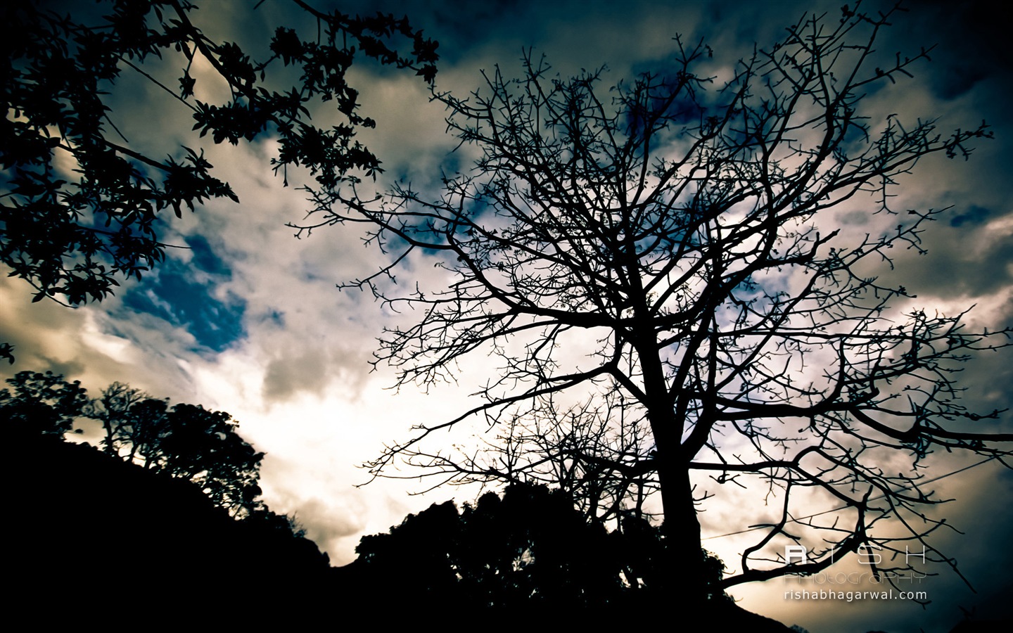 Windows 8 壁紙：捕捉瞬間的精彩 #10 - 1440x900