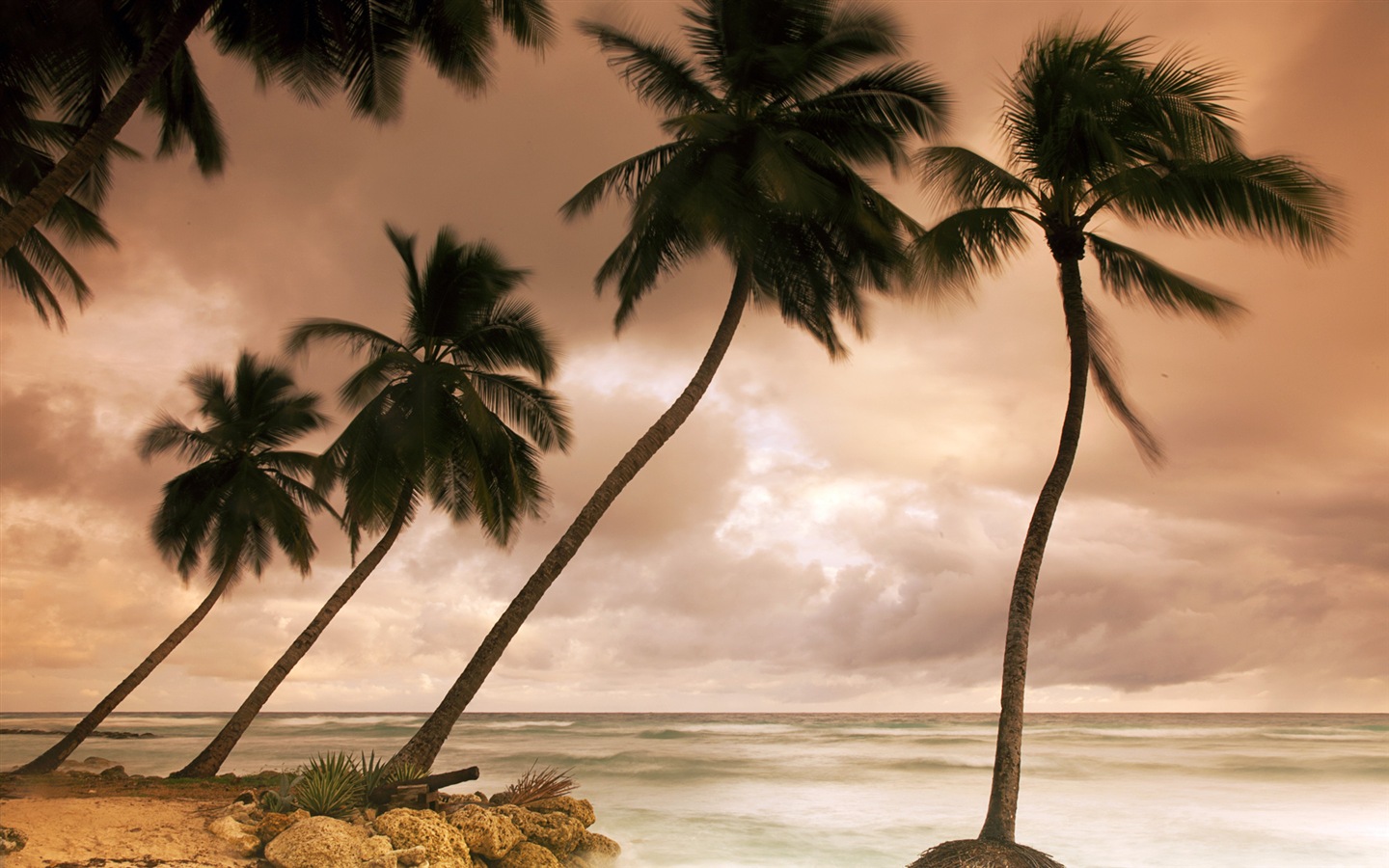 Windows 8: Fonds d'écran Shores Caraïbes #7 - 1440x900