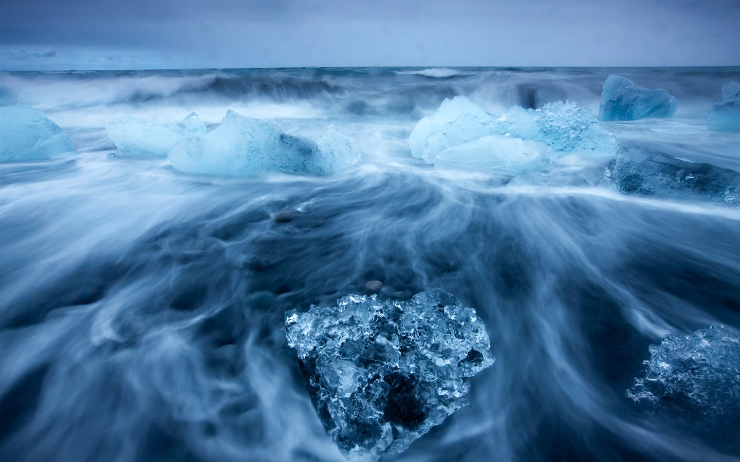 Windows 8 na plochu: Arctic, příroda ekologické krajiny, polární zvířata #9 - 1440x900