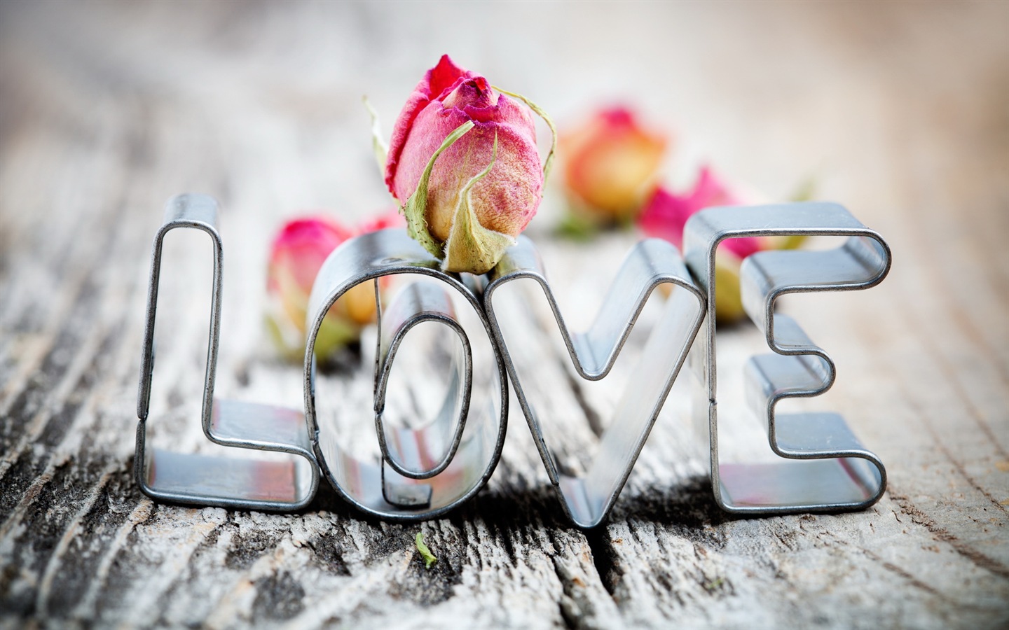 Warm and romantic Valentine's Day HD wallpapers #1 - 1440x900