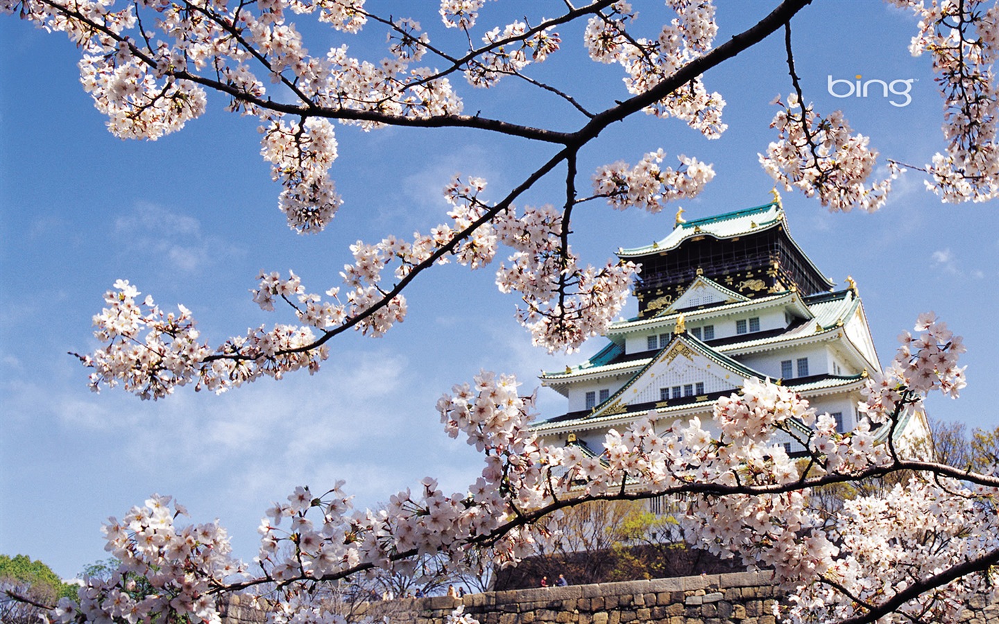 bing 微软必应高清壁纸:日本风景主题壁纸6 - 1440x900