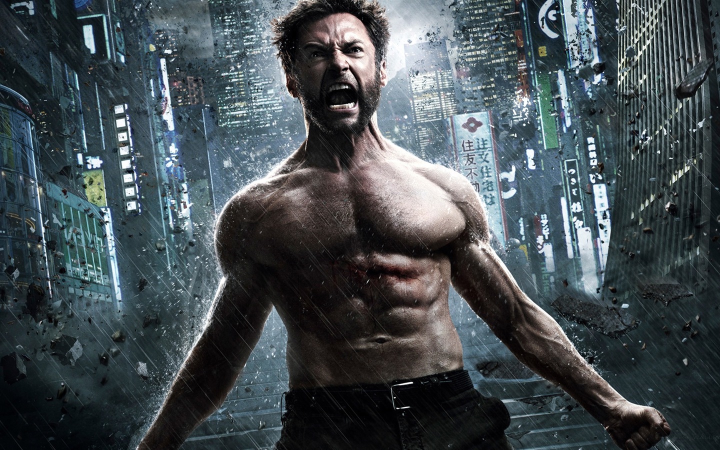 The Wolverine 2013 金剛狼2 高清壁紙 #9 - 1440x900