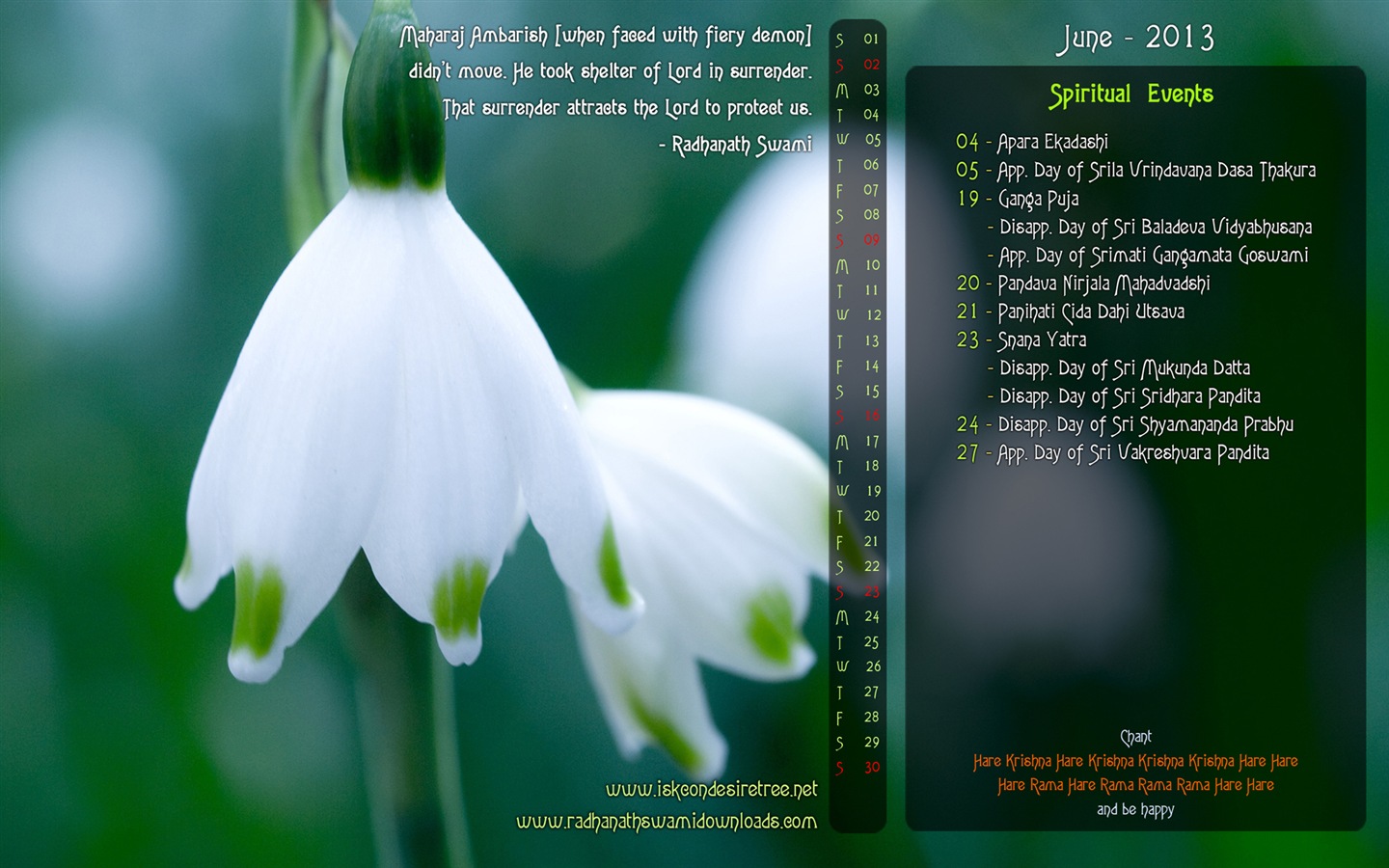 2013年6月 月曆壁紙(一) #9 - 1440x900