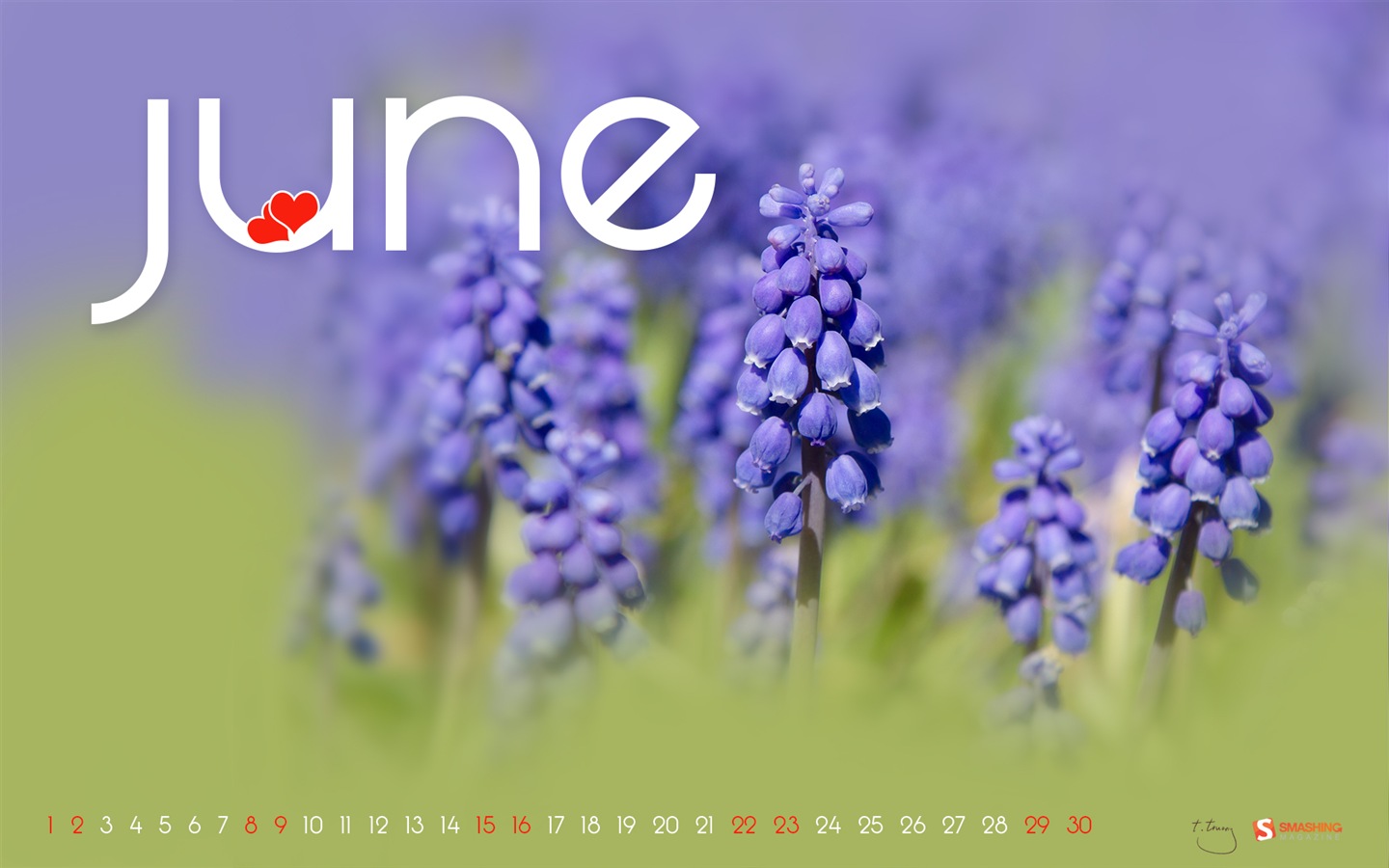 2013年6月 月曆壁紙(二) #17 - 1440x900