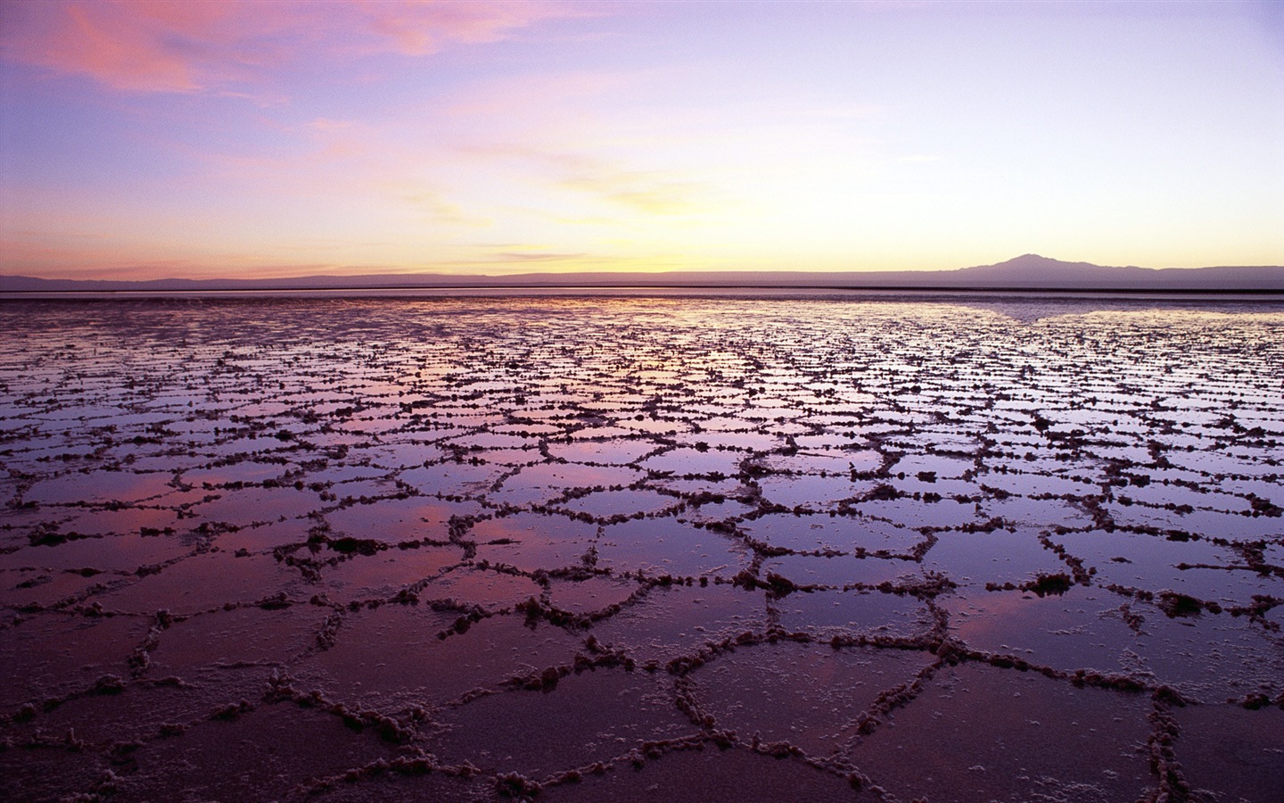 Dead Sea 死海美景 高清壁纸19 - 1440x900