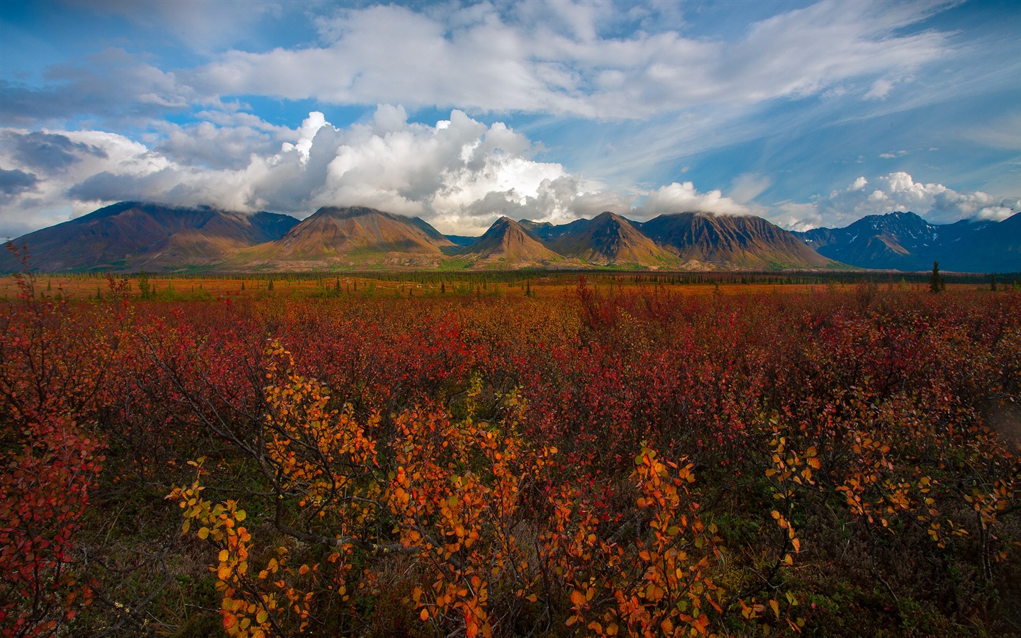 Parque Nacional Denali HD fondos de pantalla paisaje #9 - 1440x900