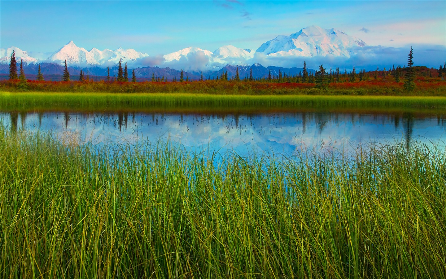 Denali National Park 迪納利國家公園 高清風景壁紙 #11 - 1440x900