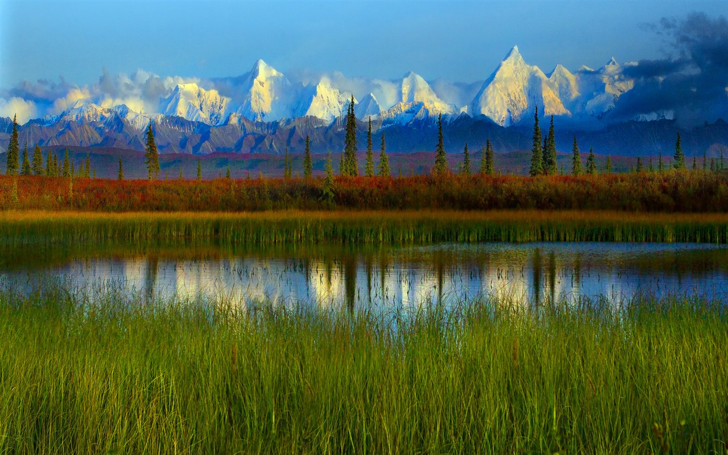 Denali National Park 迪納利國家公園 高清風景壁紙 #14 - 1440x900
