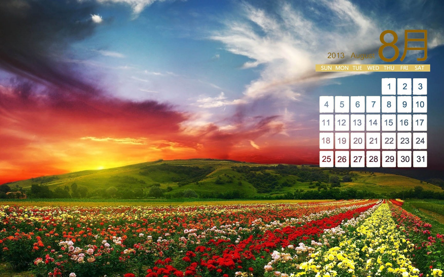 2013年8月 月曆壁紙(二) #18 - 1440x900