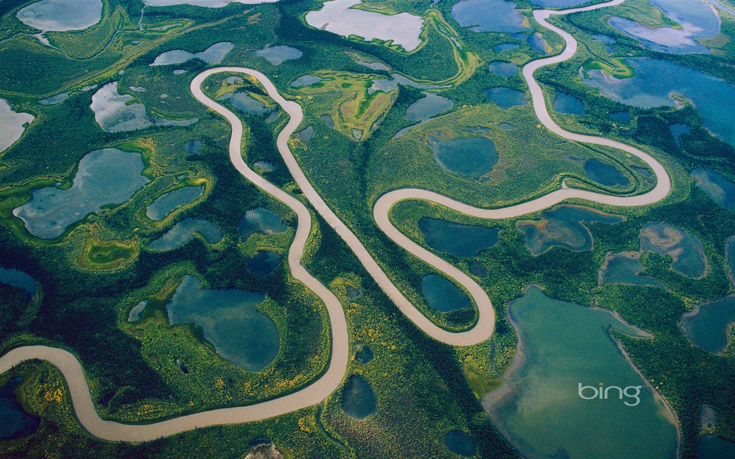 2013 Bing animaux officielles et fonds d'écran HD de paysage #3 - 1440x900