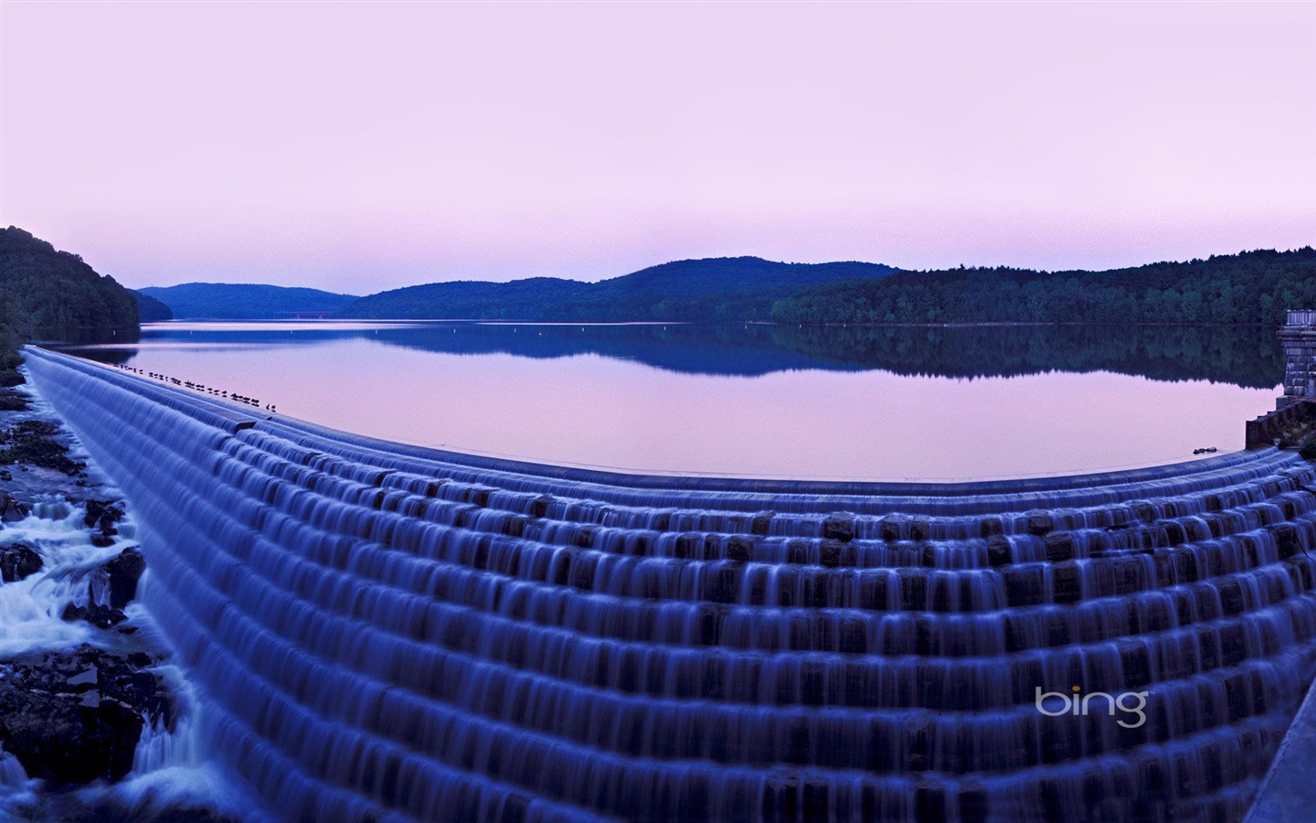 2013 Bing 必應官方動物和風景高清壁紙 #16 - 1440x900