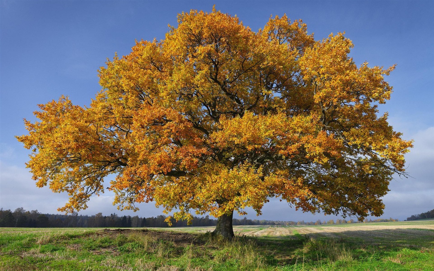 Sweden seasons natural beauty HD wallpapers #6 - 1440x900