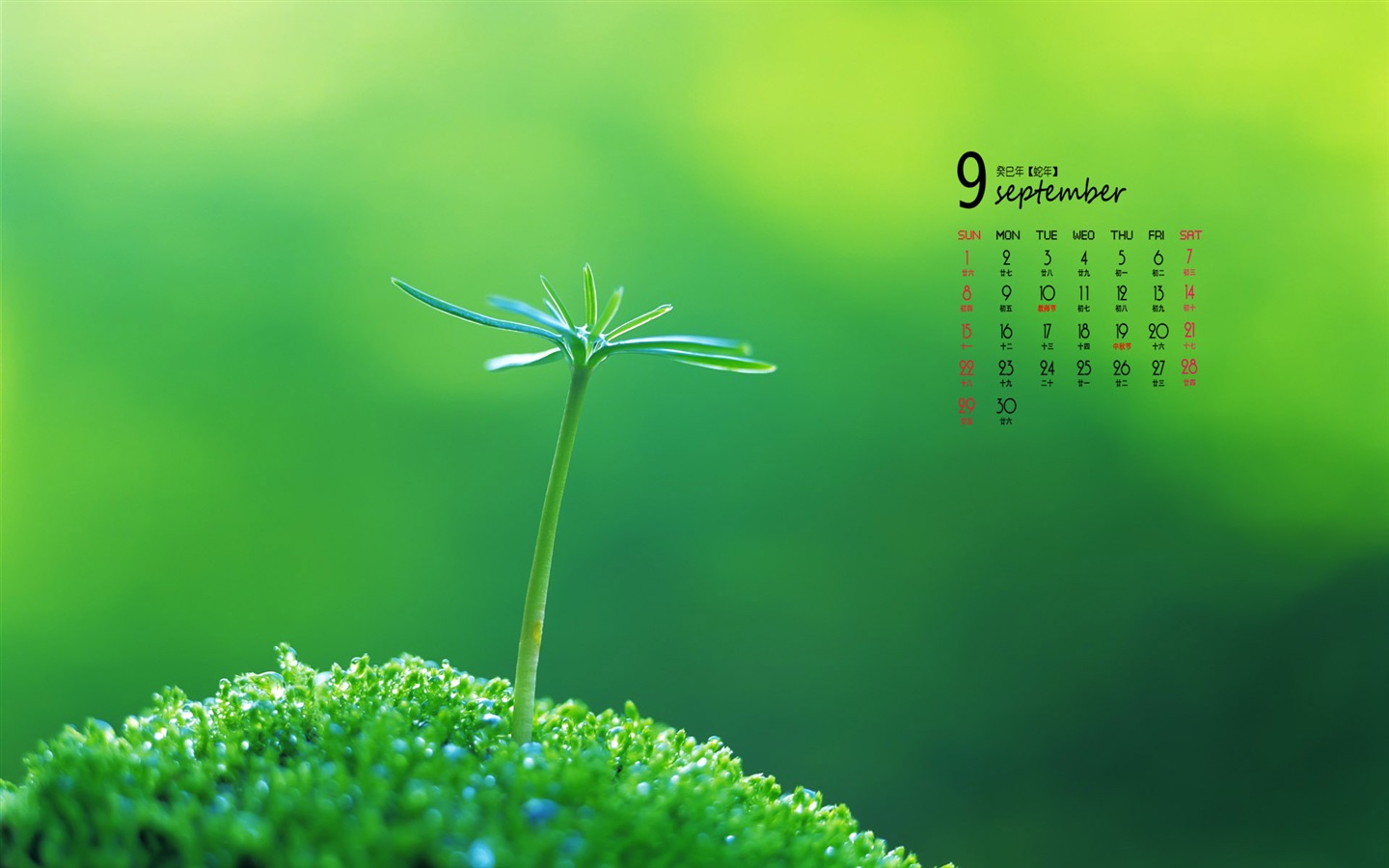09 2013 Calendar fondo de pantalla (1) #5 - 1440x900