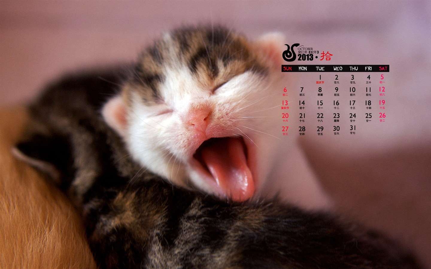 2013年10月 月曆壁紙(一) #9 - 1440x900