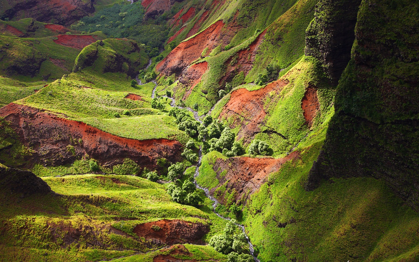 Windows 8 es el tema de fondo de pantalla: paisaje hawaiano #4 - 1440x900