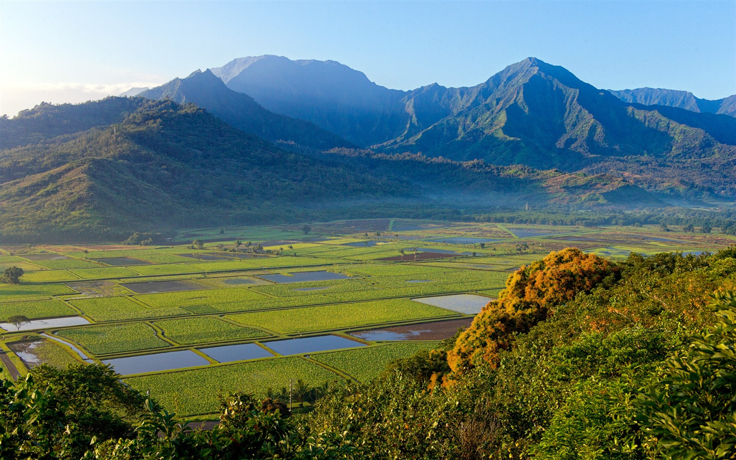 Windows 8 es el tema de fondo de pantalla: paisaje hawaiano #5 - 1440x900