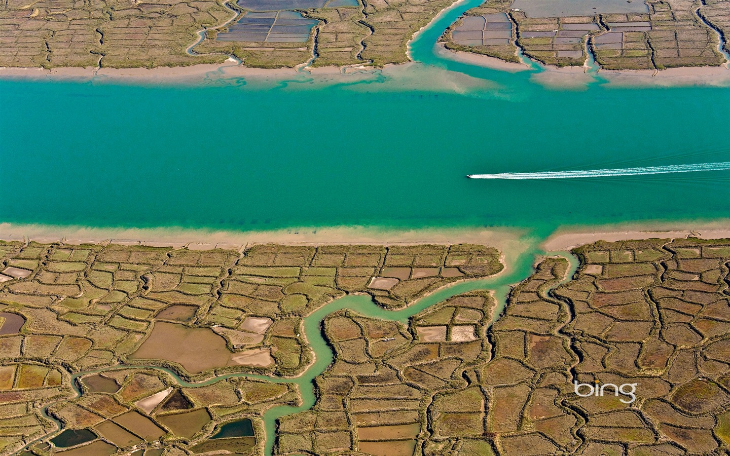 2013 Bing 必應秋季風景、動物、城市高清壁紙 #17 - 1440x900