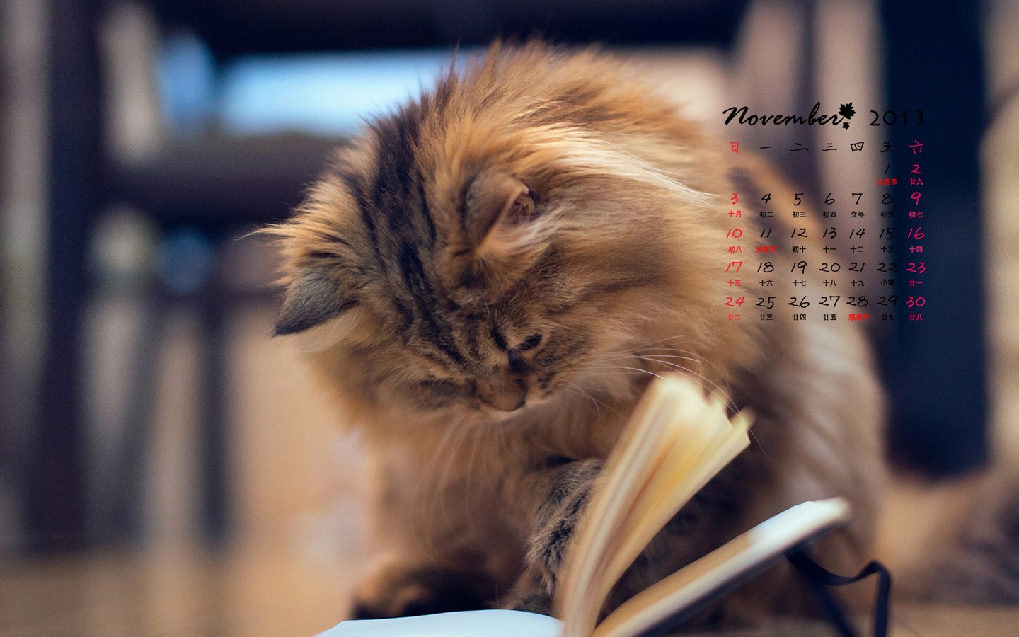 2013年11月 月曆壁紙(一) #3 - 1440x900
