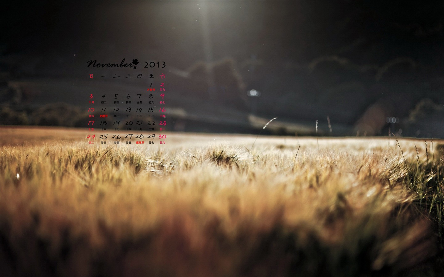 2013年11月 月曆壁紙(一) #12 - 1440x900