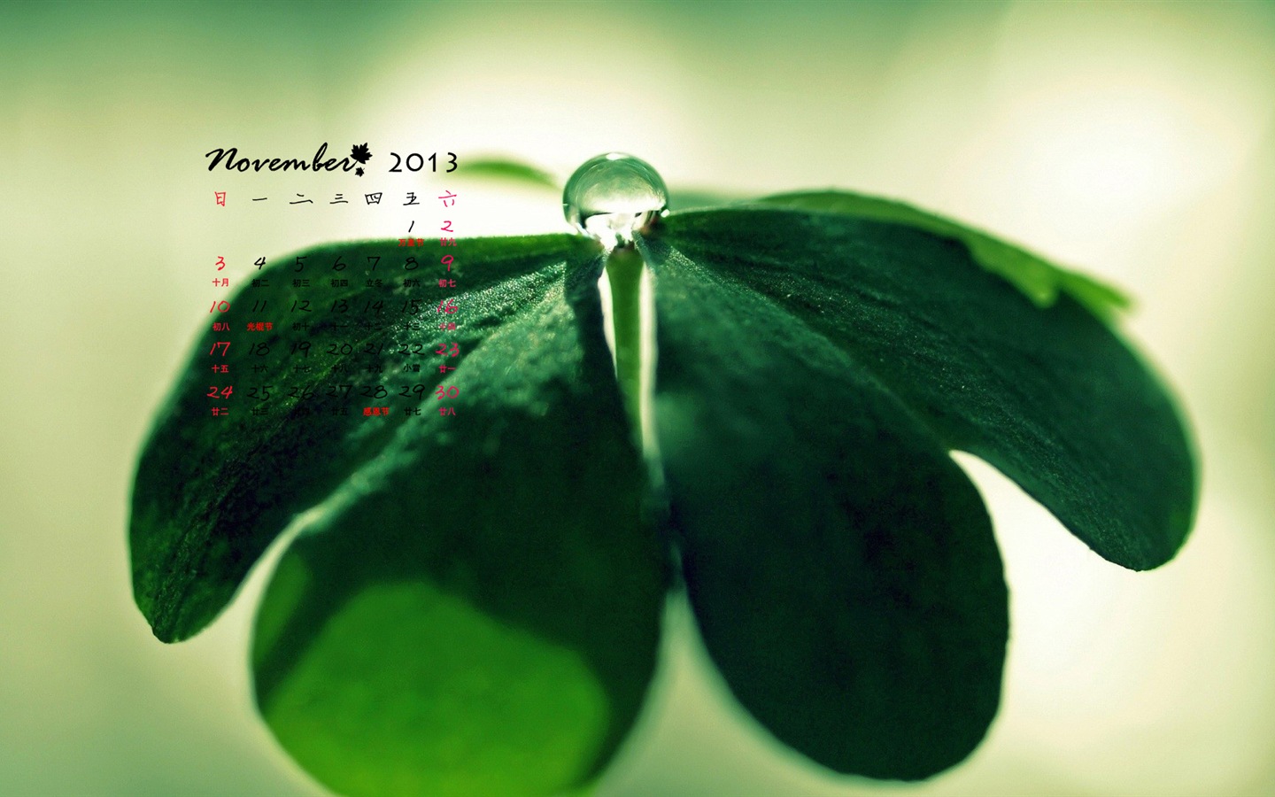 November 2013 Calendar wallpaper (1) #13 - 1440x900