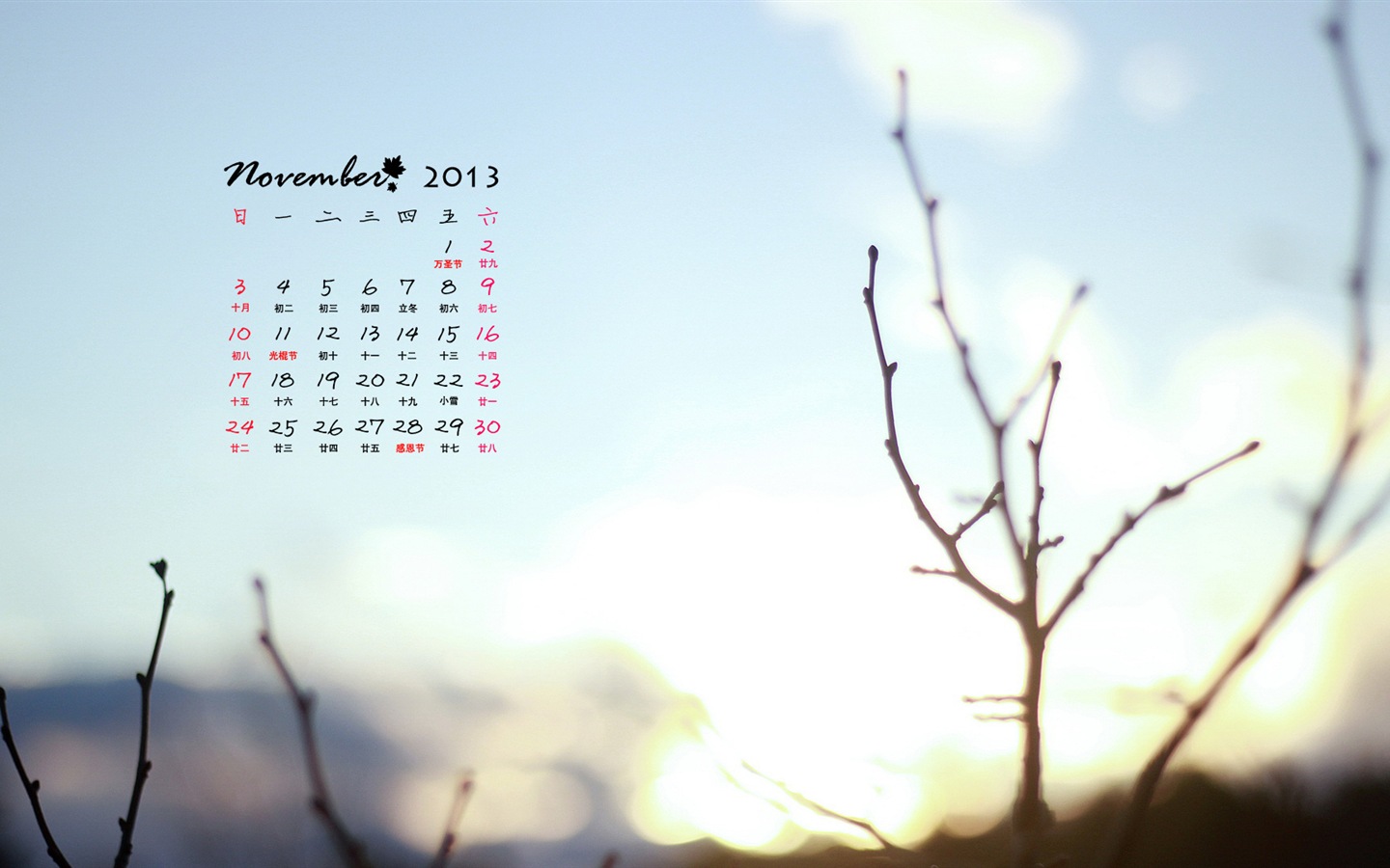 November 2013 Calendar wallpaper (1) #17 - 1440x900