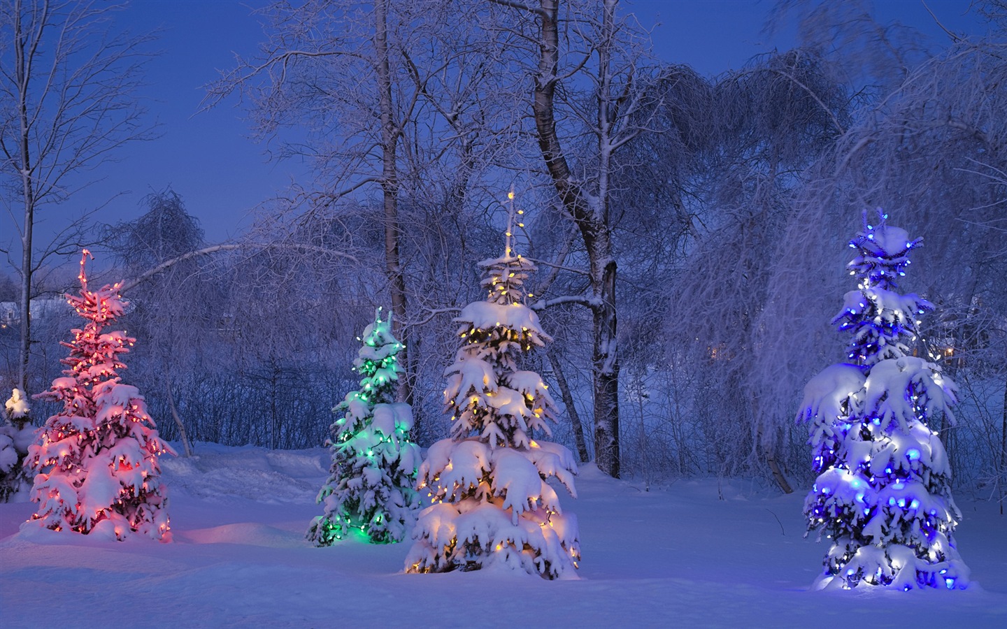 Windows 8 主題高清壁紙：冬季雪的夜景 #8 - 1440x900