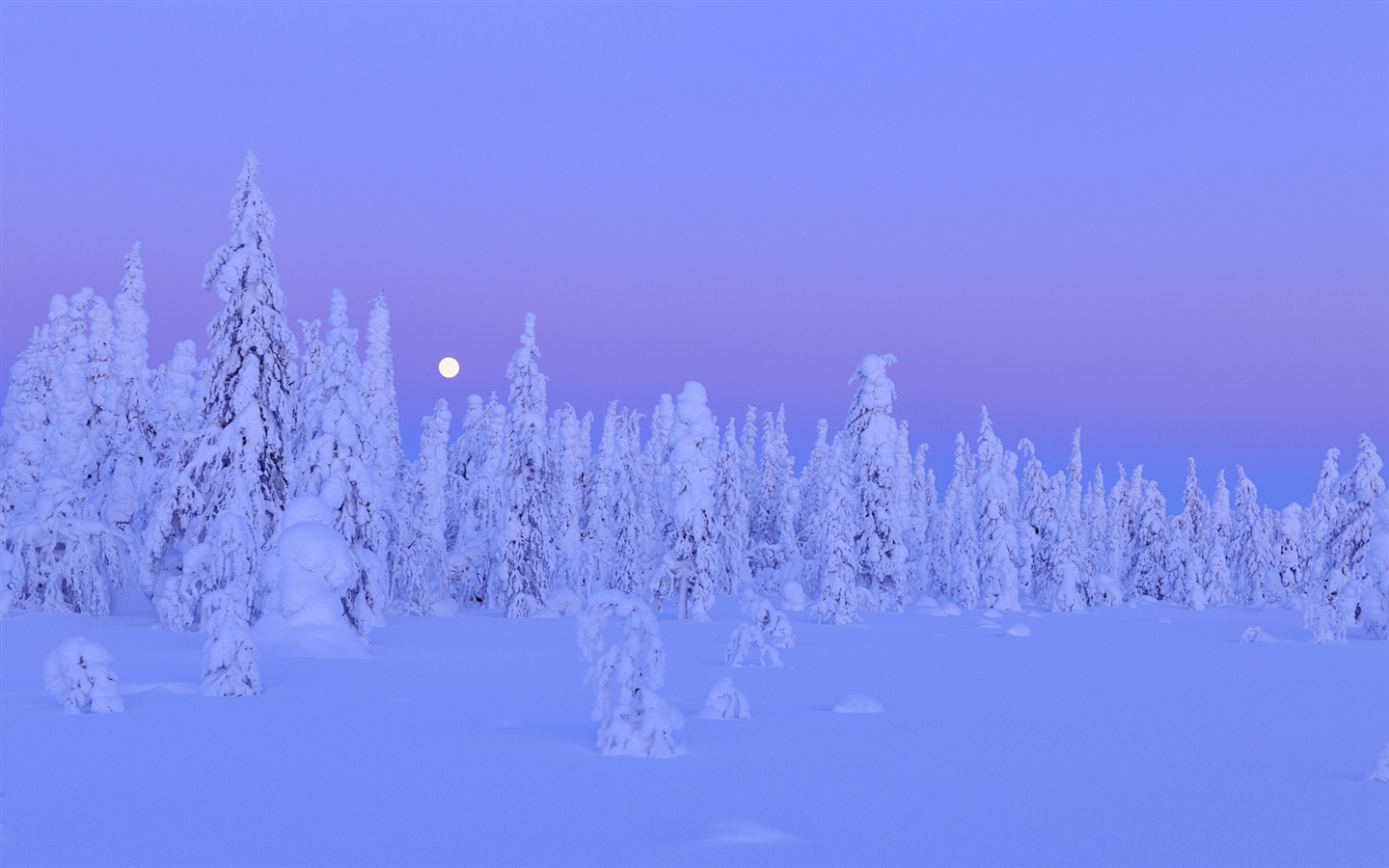 Windows 8 主題高清壁紙：冬季雪的夜景 #12 - 1440x900