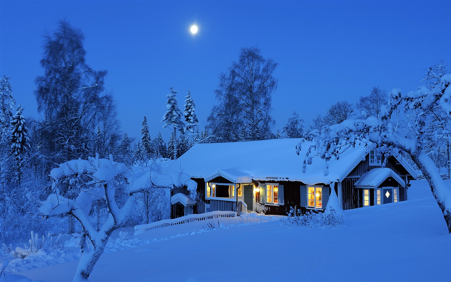 Windows 8 主题高清壁纸：冬季雪的夜景13 - 1440x900
