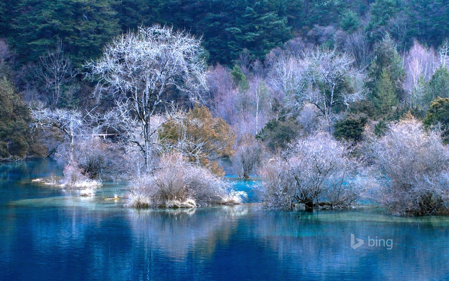 Microsoft Bing noviembre fondos de pantalla de alta definición exquisita #12 - 1440x900