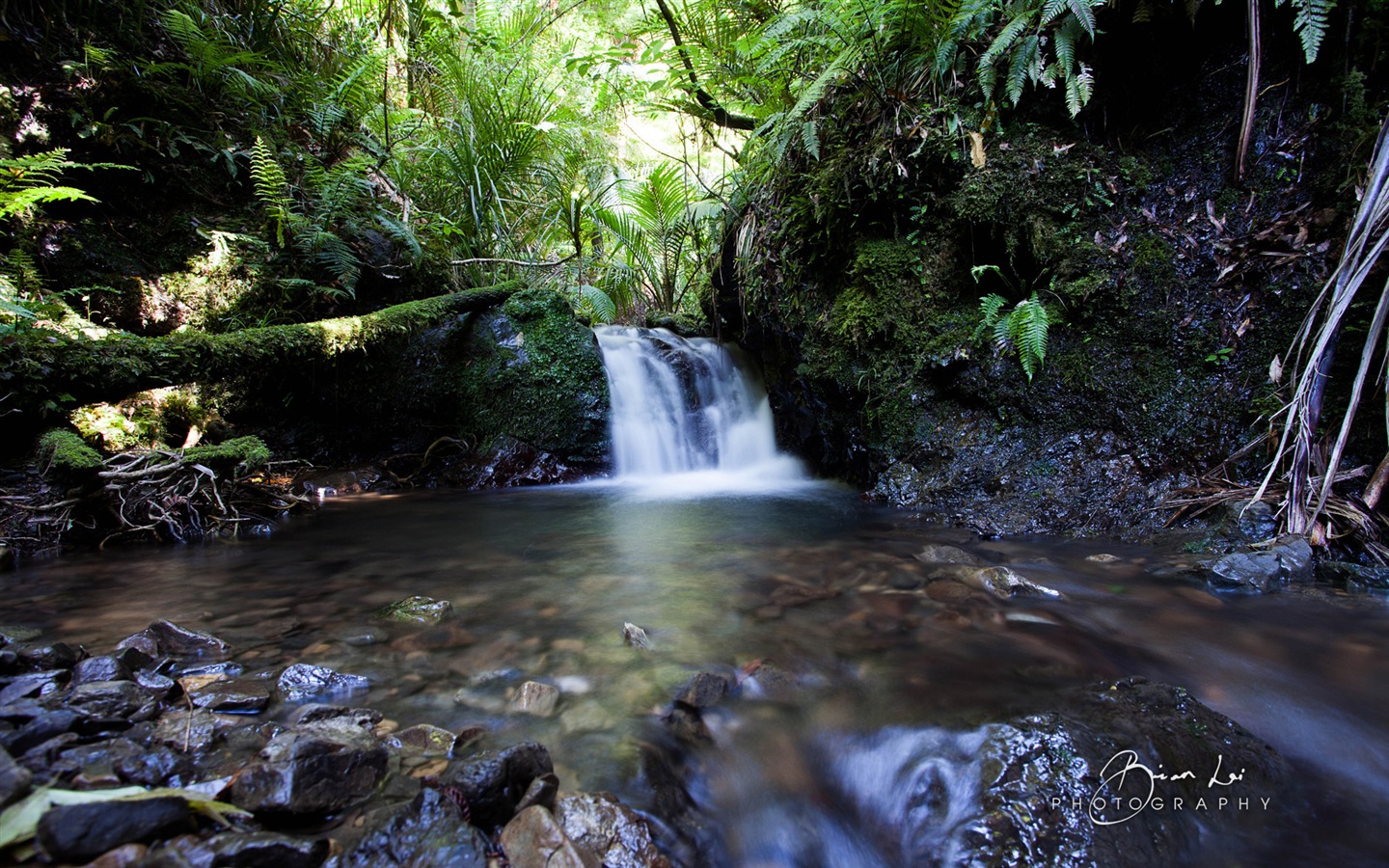 New Zealand North Island beautiful scenery, Windows 8 theme wallpapers #8 - 1440x900