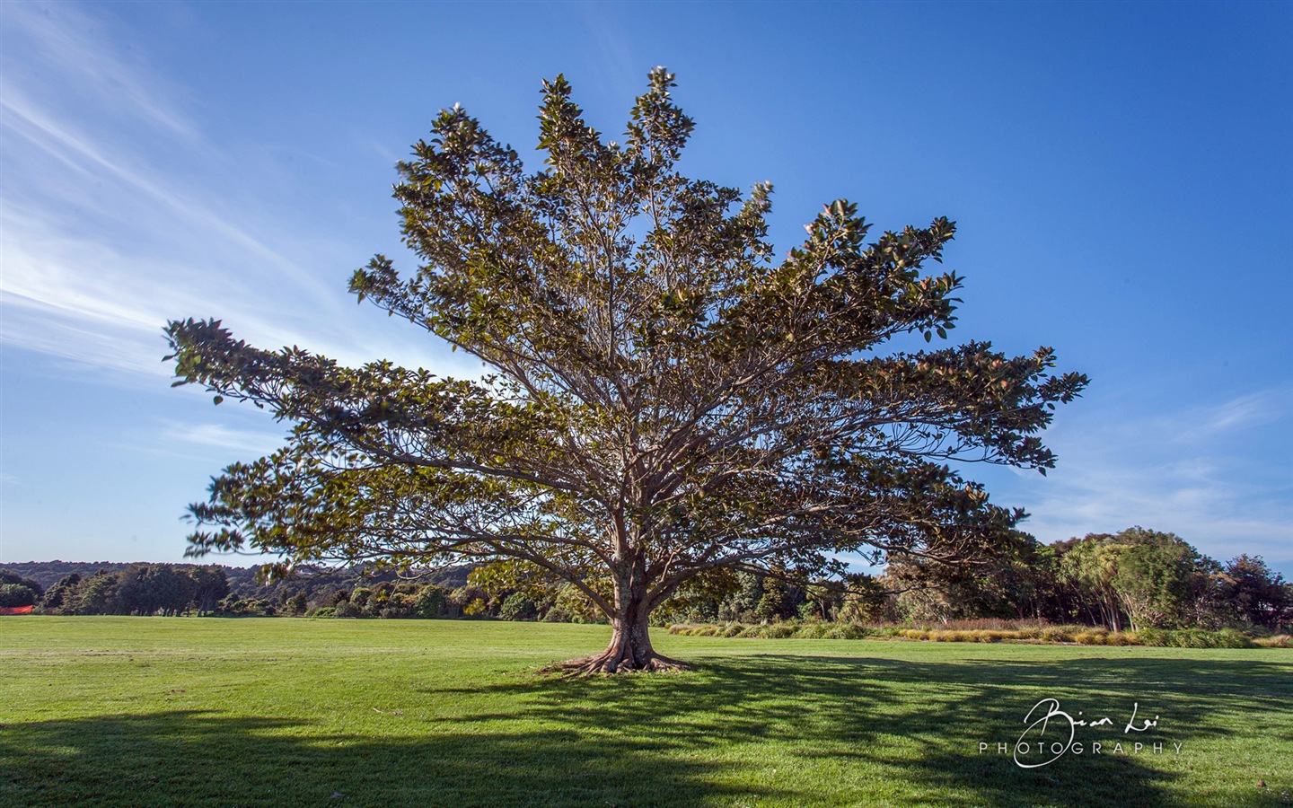 New Zealand North Island beautiful scenery, Windows 8 theme wallpapers #10 - 1440x900