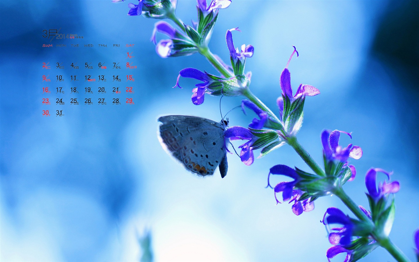 2014年3月 月曆壁紙(一) #9 - 1440x900