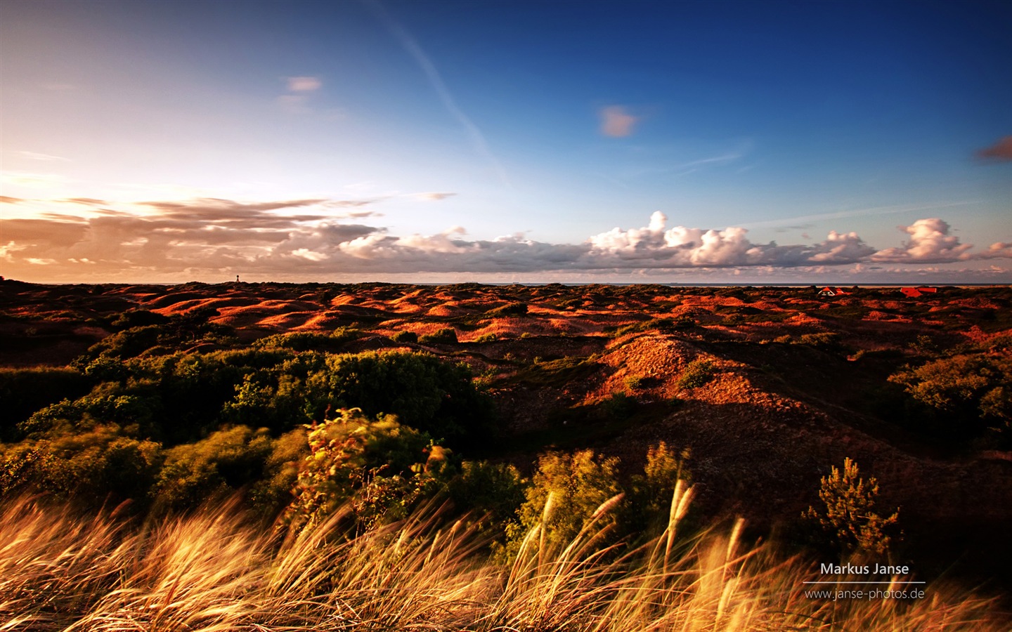 Spiekeroog 施皮克奧格島風景，Windows 8 主題壁紙 #3 - 1440x900